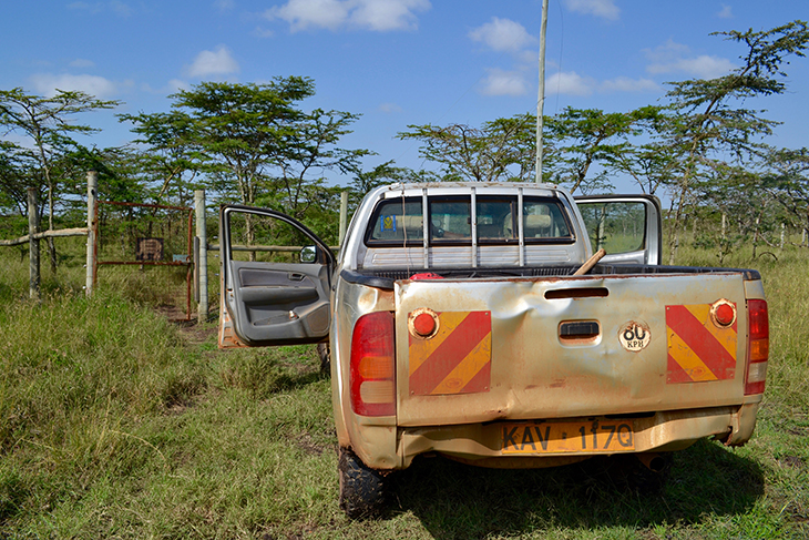 Photo courtesy of Elizabeth Forbes.